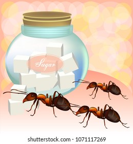 Red ants eat sugar.