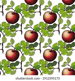 Red apple. Branch with leaves and apples.Pattern. Vector. drawing. Hand drawn illustrations on white background.