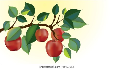 red apple branch on soft yellow to white gradient