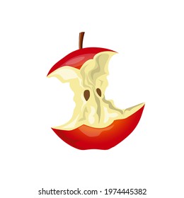 Red apple core. Vector illustration isolated on white background in realistic style