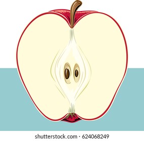 red apple cut in half.