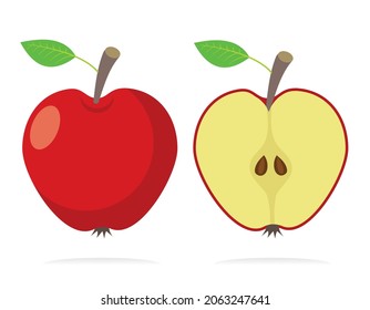 red apple cut in half, vector illustration