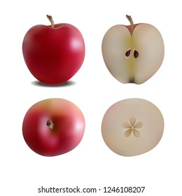 Red apple in different perspectives and sections