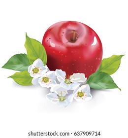 Red apple with flowers