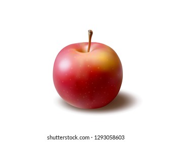 Red apple, fresh fruit,
Vector illustration isolated on white background