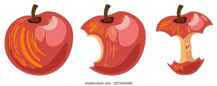 Red apple fruit bite stage set. From whole to apple core gradual decrease. Bitten and eaten. Apple fruit icon design. Vector illustration