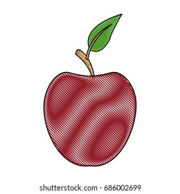 red apple fruit with green leave