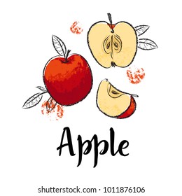 Red Apple fruit handdrawn design template. Botanical fruit illustration. Vector illustration realistic sketch with calligraphic lettering