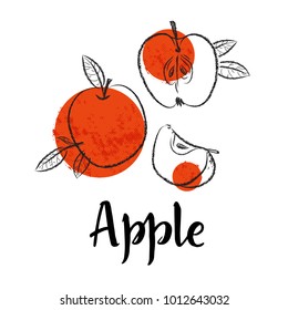 Red Apple fruit handdrawn design template. Botanical fruit illustration. Vector illustration realistic sketch with calligraphic lettering
