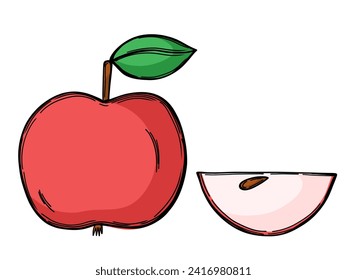 Red apple fruit in outline style. Vector hand drawn illustration