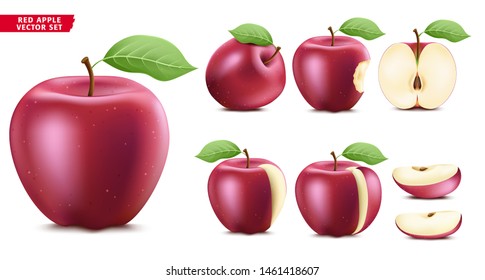 Red Apple Fruit Ripe Realistic 3D Food Vector Set. Whole Half and Sliced Version In Isolated White Background
