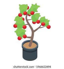 Red apple fruit tree icon. Isometric of Red apple fruit tree vector icon for web design isolated on white background