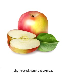 Red apple fruit vector illustration.  Whole fruit and half. Realistic leaf on a white background.