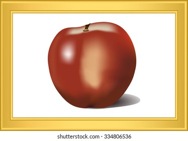 red Apple in a gold frame with shadow vector