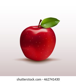 Red apple with green leaf isolated on white photo-realistic vector illustration
