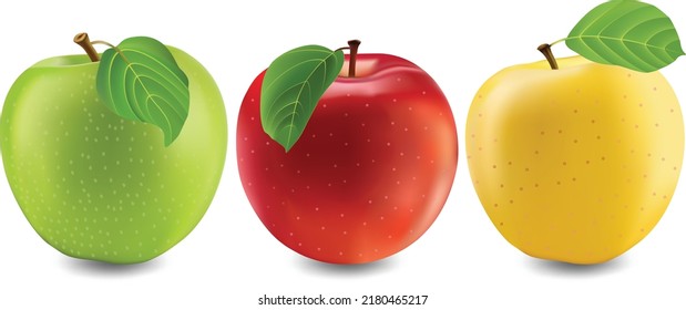 Red apple, Green apple, Yellow fresh apple isolated on white background. vector illustration.