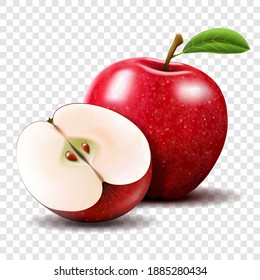 Red apple and half of apple isolated. fruits vector illustration. Realistic modern style