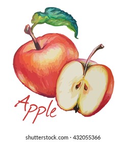 Red Apple. Hand Drawn Watercolor Painting. Vector Illustration.