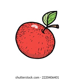 Red apple, a hand-drawn sketch-style doodle.  Big apple. Cartoon. Apple with a twig and a leaf.  Simple vector isolated on white background.