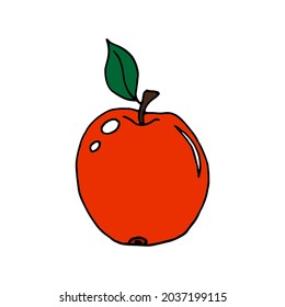 Red apple hand-drawn, vector illustration. On an isolated white background. Scribble. Concept for children Alphabet print, clothing, teaching materials, wrapping paper. Poster design, kitchen textile