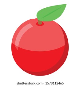 Red apple icon. Isometric of red apple vector icon for web design isolated on white background