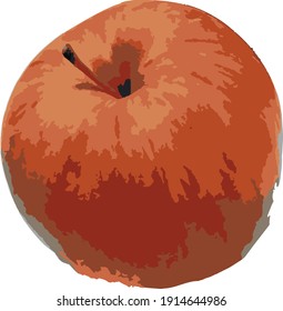 Red apple illustration isolated no background 