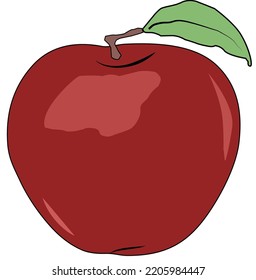 Red apple illustration isolated on white background. vector