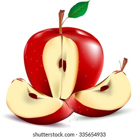 Red apple illustrator design