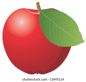Red apple isolated on white
