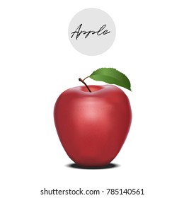 Red apple isolated on white background vector illustration.