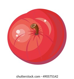 Red apple isolated. Pomaceous fruit. Tasty popular autumn fruit. Healthy juicy fresh apple. Sign symbol of autumn. Appetizing dessert. Vegetarian organic food. Vector illustration in flat style