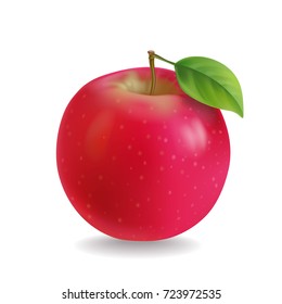 Red apple with leaf Realistic illustration