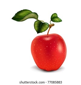 red apple with leaves
