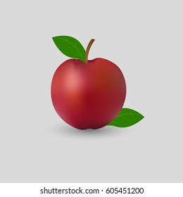Red apple with leaves. Vector illustration.