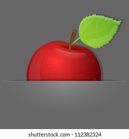 Red apple on grey background. Vector illustration.