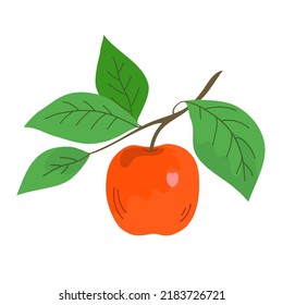 Red apple on a tree branch. Green leaves. Healthy food. Garden and harvest. Cartoon vector illustration isolated on white background