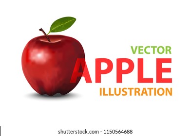 red apple on white background. Vector illustration.
