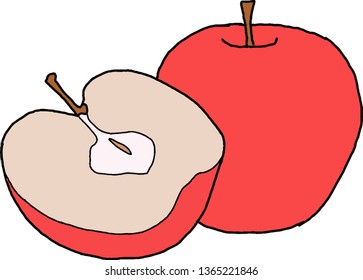 Red apple on a white background
