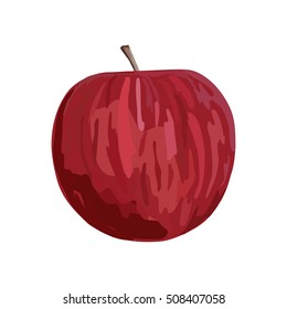 Red apple on white background. Vector. Hand drawn. Watercolor imitation. Isolated red apple.