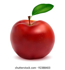 Red apple on a white background, vector