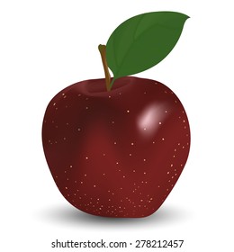 Red apple on white. EPS 10 vector illustration with mesh and transparency.