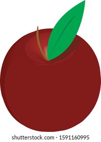 Red apple realistic 3d vector illustration