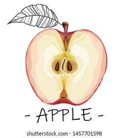 Red apple with seeds and leaf. Half a ripe apple. Sticker, print, banner, poster, promotional material. Vector illustration.
