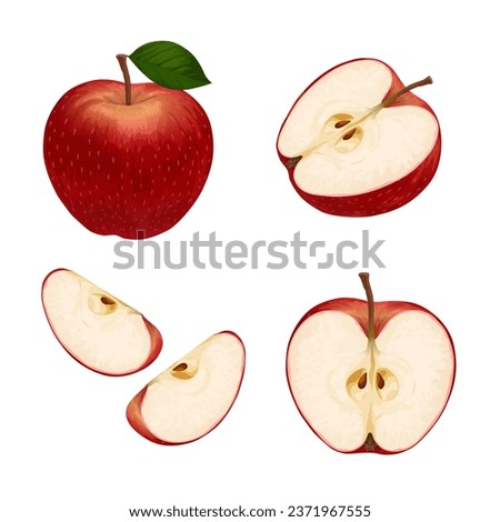 Red Apple. Set of red apples isolated on a white background. Whole and sliced apple.