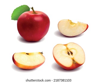 Red apple set slices. Isolated vector illustration