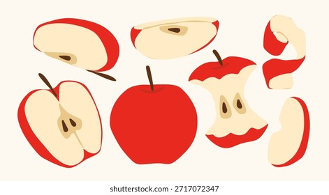 Conjunto de Manzana Roja. Fruta entera, media, en rodajas, mordida. Ilustración vectorial dibujada a mano. Elementos de diseño aislados. Comida sabrosa, concepto de producto saludable. Etiqueta engomada, impresión, logotipo, Plantillas del icono