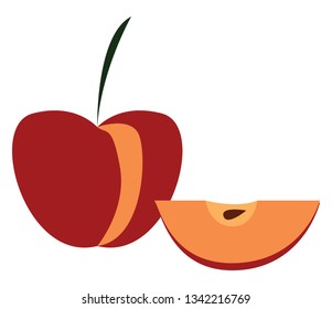manzana roja con un vector de impresión de ilustraciones en trozos sobre fondo blanco