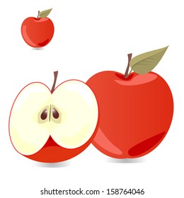 Red Apple with slices vector illustration 