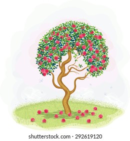Red apple tree with fallen apples in the meadow