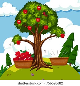 Red apple tree in the field illustration